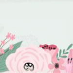 Fr. Armando Transferred