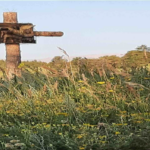 From the Pastor’s Desk – February 8